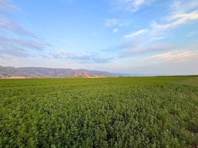 TBD Highline View Rd, Grace, ID 83241 - photo 5