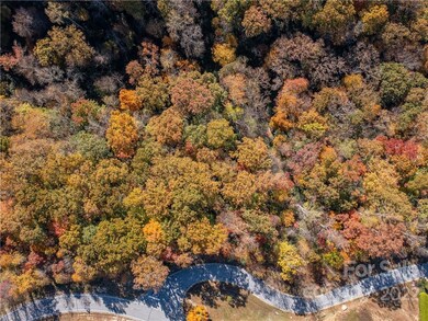 1736 Wood Owl Ct unit 36R, Hendersonville, NC 28791 - photo 4