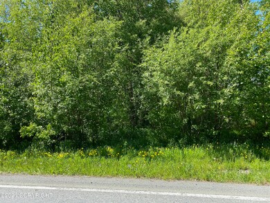 IMG_5849
