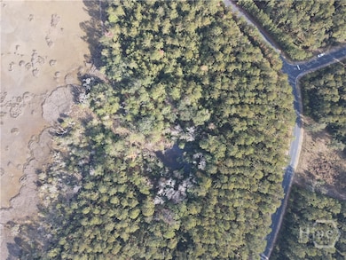 Lot 45 Marsh Dr NE, Crescent, GA 31331 - photo 5