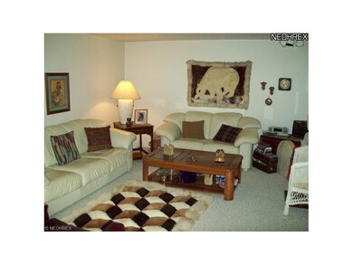 Family room, lower level