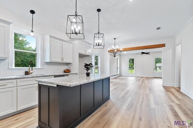 31860 Netterville Rd, Denham Springs, LA 70726 - photo 6