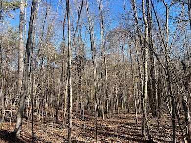 202 Ac. Chestnut Rd, Nathalie, VA 24577 - photo 7