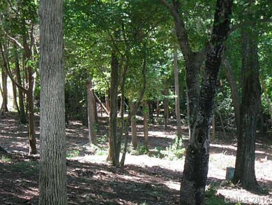 Land/Lot