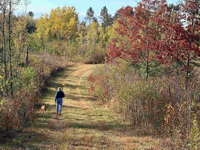 NEAR Rocky Run Rd, Harshaw, WI 54529 - photo 7