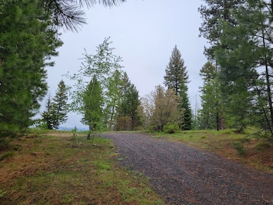 Wooded
