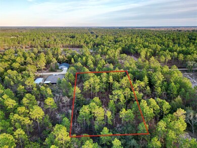 0 Tbd Sw 124th Terrace Rd, Ocala, FL 34481 - photo 6