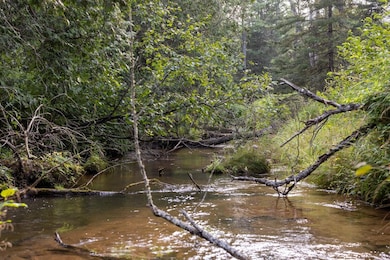 N9895 Krause Rd, Engadine, MI 49827 - photo 5