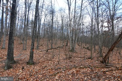 Lots 8A & 8B Reynolds Rd, Cross Junction, VA 22625 - photo 6