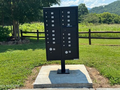 0 River Rapids Way Lot 5 Way, Del Rio, TN 37727 - photo 4