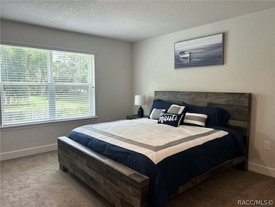 Master Bedroom (king size bed)