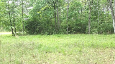 480 Pelican St, Magnolia, TX 77355 - photo 5