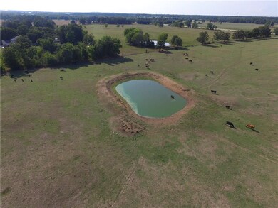 Pond