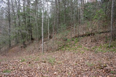 0 Waldens Creek Rd Lot 4r3 unit 1205621, Sevierville, TN 37876 - photo 6