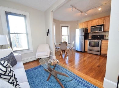 217 Boylston St unit 2, Jamaica Plain, MA 02130 - photo 6