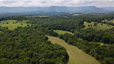 0 County Road 494, Bryant, AL 35958 - photo 3