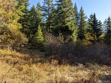 1 Bakers Rd, Cle Elum, WA 98922 - photo 3