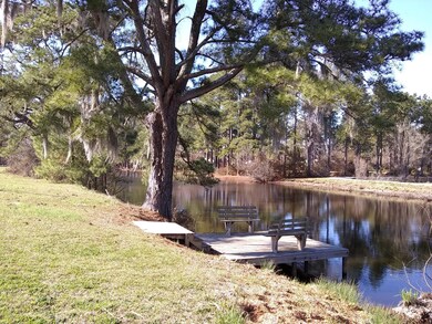 Spring Branch Pond