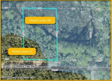 0 Grindstone Dr Lot 14, Webster, FL 33597 - photo 5