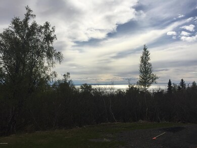 L4 B2 Potter Valley Rd, Anchorage, AK 99516 - photo 2