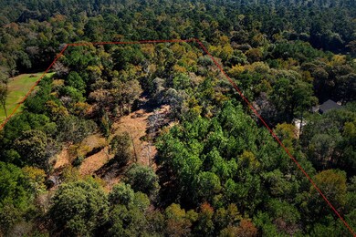 28311 Black Jack Ln, Magnolia, TX 77354 - photo 5