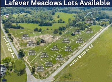 Lot 6 Austin Bottom Rd, Baxter, TN 38544 - photo 7