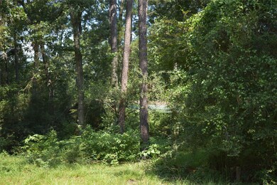 105 Post Oak Ct, Magnolia, TX 77355 - photo 5