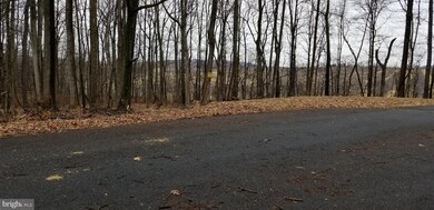 0 LOT 209 Woodcrest Dr, Gainesboro, VA 22603 - photo 3