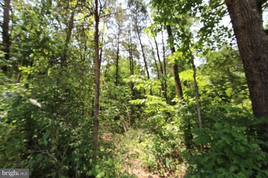 0 Catlett School Rd unit VAFQ2012736, Catlett, VA 20119 - photo 3