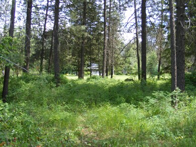 View from Road