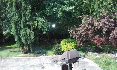 Big Patio overlooking yard