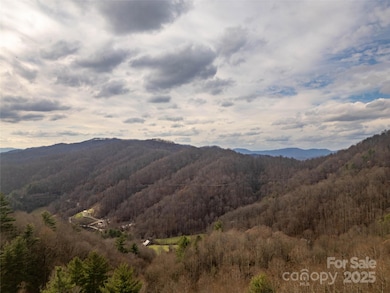 View from the top of the property. 