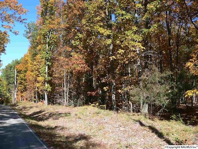 5025 Willow Dr SE, Huntsville, AL 35803 - photo 3