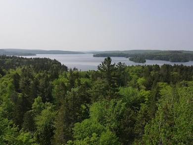 dji_fly_20250605_100700_490_174913244867