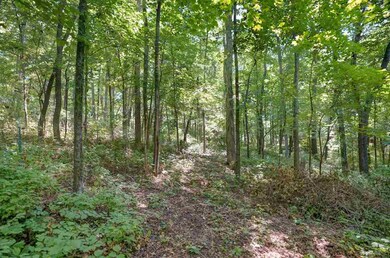 Lot 11 Champion Cir, Fitchburg, WI 53575 - photo 4