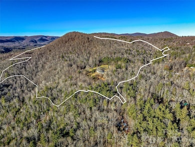 1411 Cabin Creek Rd, Zirconia, NC 28790 - photo 6