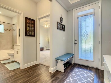 14312 Fissore Blvd, Wimauma, FL 33598 - photo 6