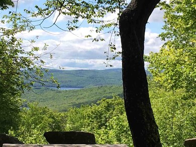 0 Scattered Timber Rd unit 491 & 492 4785272, Wilmington, VT 05363 - photo 7