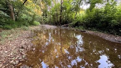 0 Ready Rd unit LotWP001 24349622, Caneyville, KY 42721 - photo 6