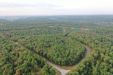 Tbd Tract 3 Highway 34, Silva, MO 63964 - photo 5