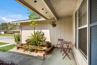 4901 Lofty Pines Cir E-large-005-5-Patio