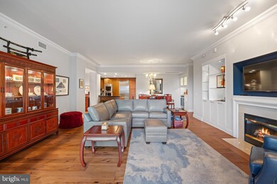 The Ritz-Carlton Residences unit 152, Baltimore, MD 21230 - photo 5