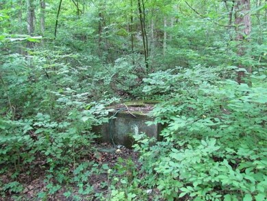 12564 Parker Branch Rd, West Fork, AR 72774 - photo 6