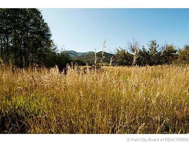 Land/Lot.