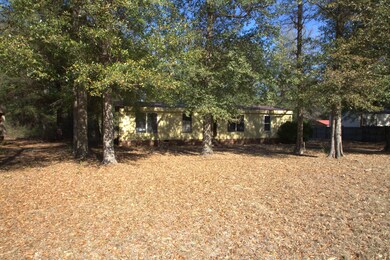 961 Hephzibah McBean Rd, Hephzibah, GA 30815 - photo 3