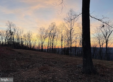 0 Vandalia Rd - 10 03 Ac P O Lot 1, Martinsburg, WV 25403 - photo 6