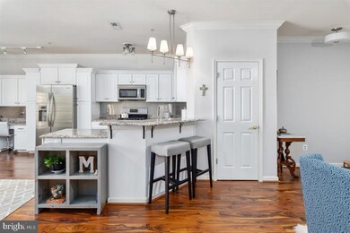 502 Mathias Hammond Way unit 101, Annapolis, MD 21401 - photo 6