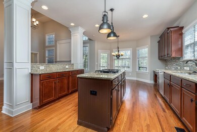 Beautiful Gourmet Kitchen