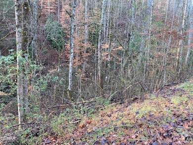 Lot 53A Fiesta Blvd, Sevierville, TN 37876 - photo 3