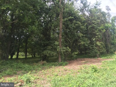 0 Legard Farm Rd, Blue Ridge, VA 20132 - photo 4